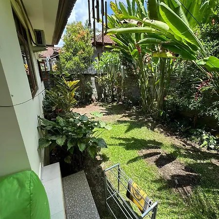 Dodit House