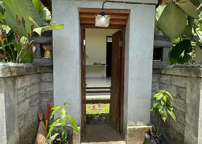 Hotel Dodit House